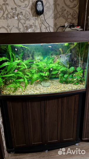 Аквариум с тумбой