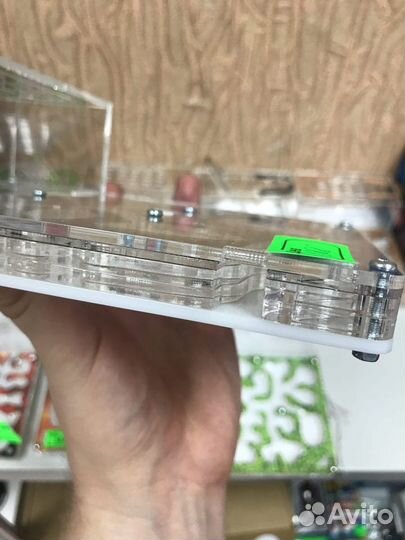 Муравьиная ферма