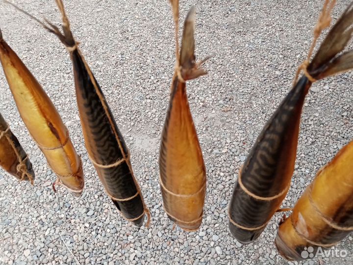 Скумбрия горячего копчения