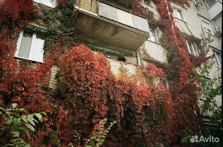 Пленочная камера samsung f 111