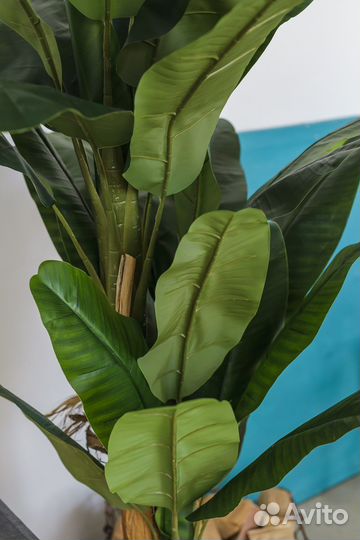 Искусственные цветы, искусственные деревья новые