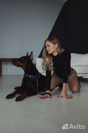 Фотосессия с доберманом все включено