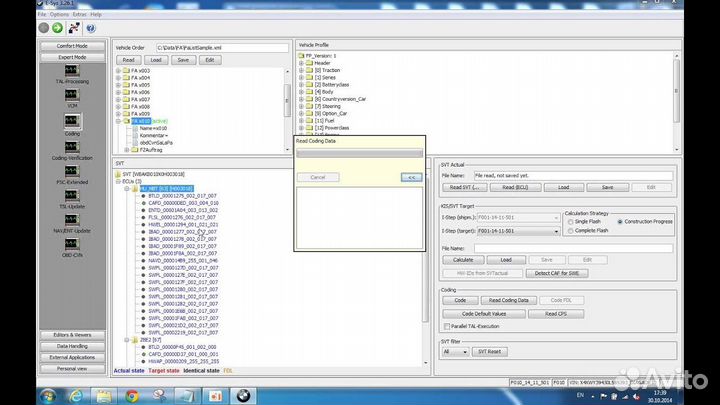 Установка диагностики BMW Inpa rheingold ista-D
