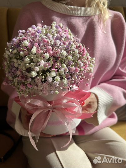 Гипсофила Ярославль доставка