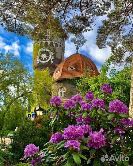 Индивидуальные экскурсии