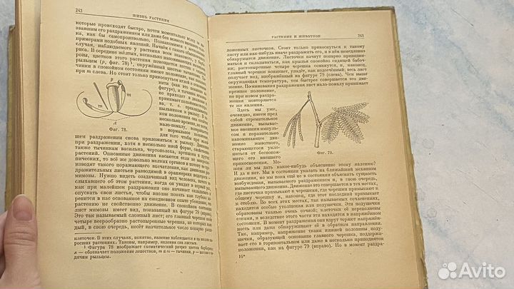 Жизнь растения. Тимирязев. 1949 г