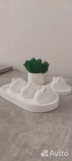 Кашпо со стабилизированным мхом