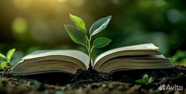 Помощь студентам Марий Эл(Тесты, Курсовая и т.д)