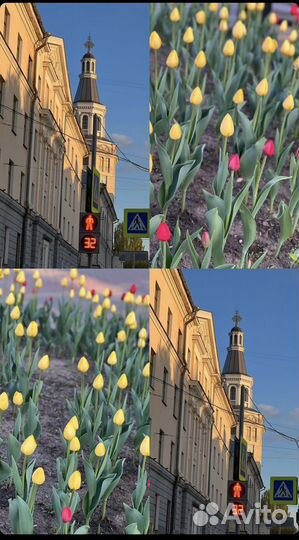 Начинающий,мобильный фотограф