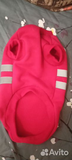 Одежда для собак