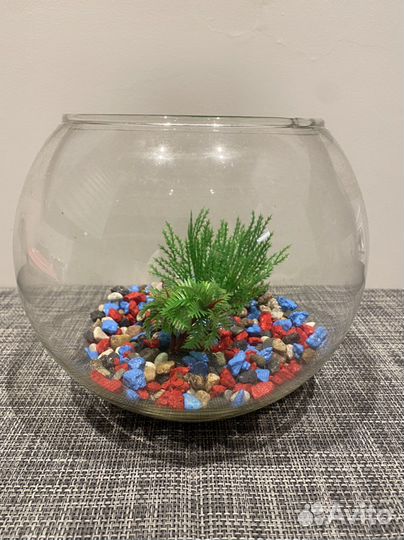 Аквариум