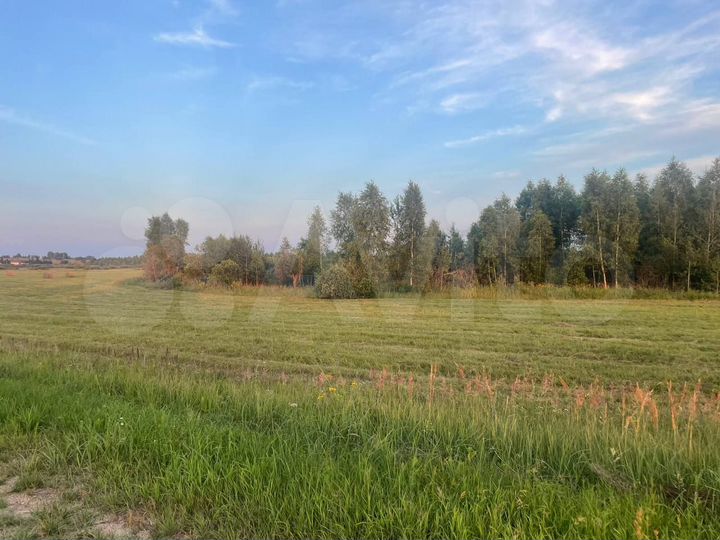 Участок 112,36 га (СНТ, ДНП)