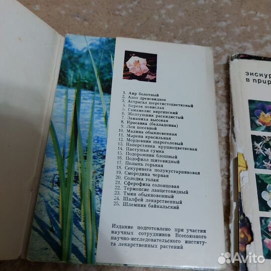 Набор открыток СССР лекарственные растения