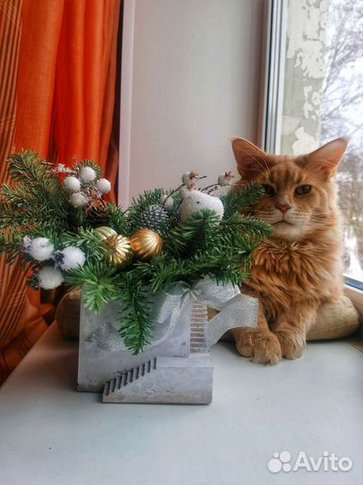 Кашпо из бетона