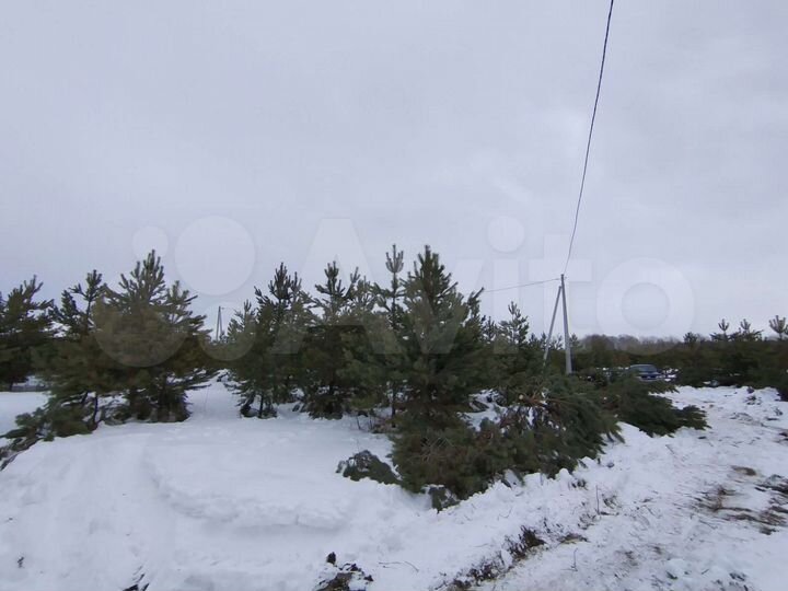 Участок 12,5 сот. (СНТ, ДНП)