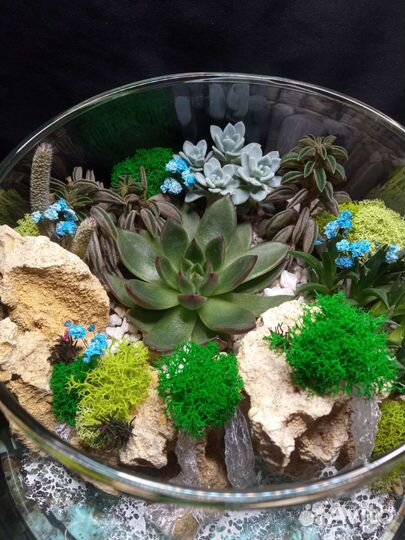 Флорариум на заказ