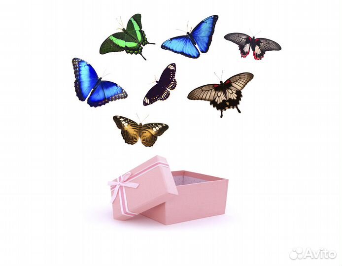 Салют из бабочек на праздники и торжества