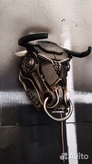 Испанский боевой бык #Toro