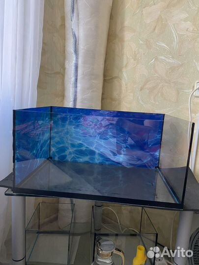 Аквариумы и грунт