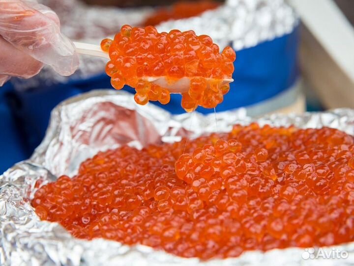 Красная икра Оптом