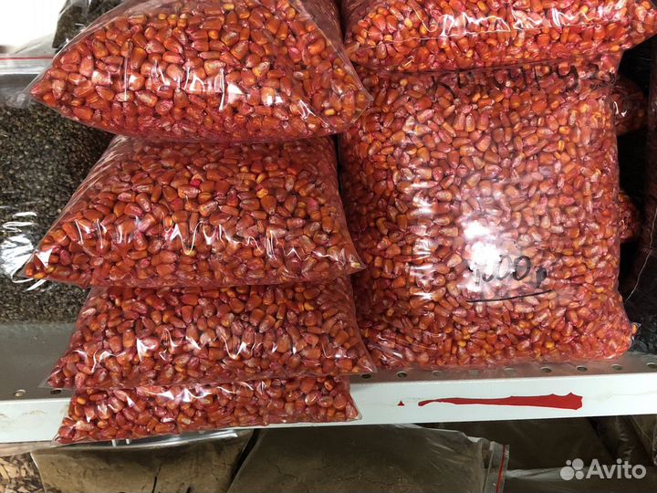 Кукуруза на посадку протравленная