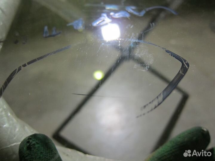 Стекло лобовое Hyundai H1 H200 starex 97-07