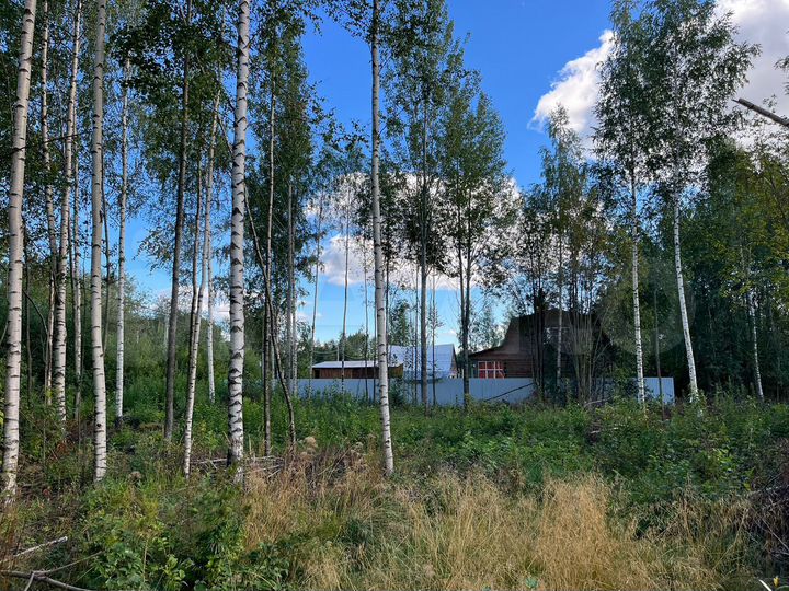 Участок 6,9 сот. (ИЖС)