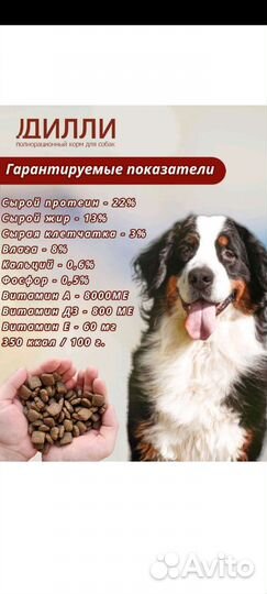 Сухой корм для собак