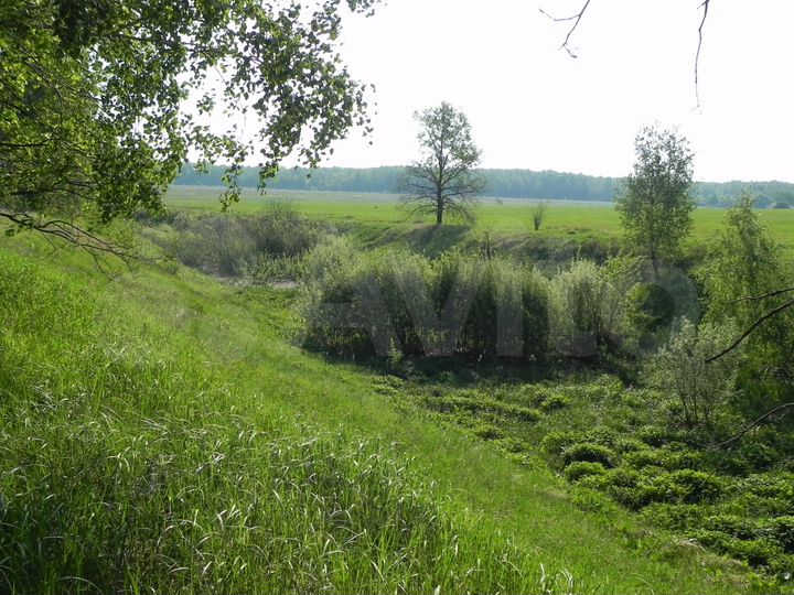 Участок 12 сот. (СНТ, ДНП)