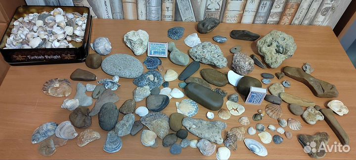 Камни и ракушки для аквариума