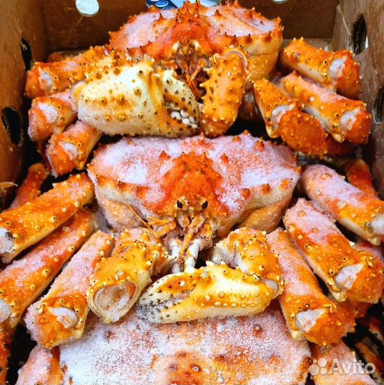 Краб Камчатский подарочный