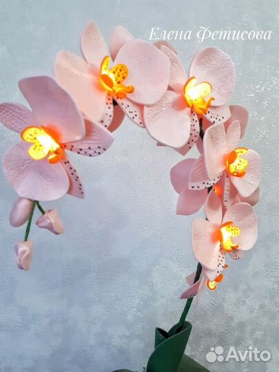 Орхидея с подсветкой