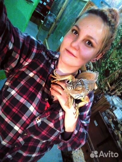 Передержка