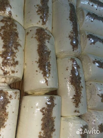 Дондуковский домашний сыр