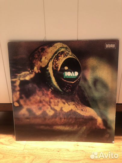 Toad – Toad, 1st pressing, NM, Mega Rare