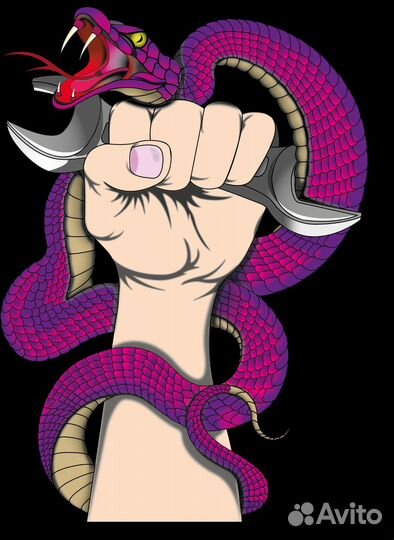 Художник иллюстратор, Векторная графика