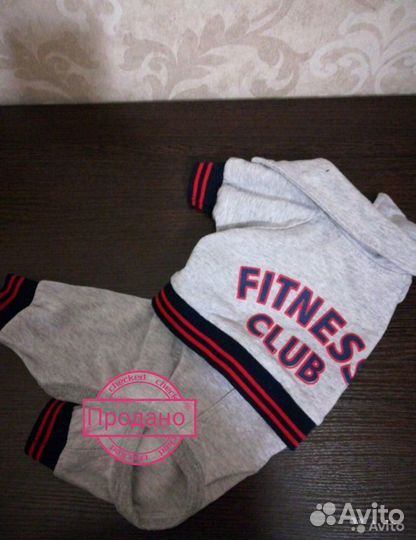 Одежда для йоркширского терьера