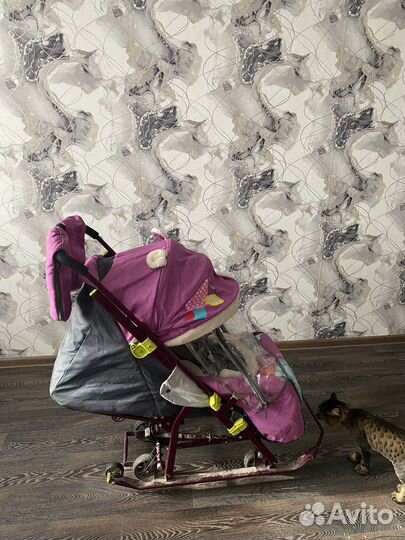 Коляска санки