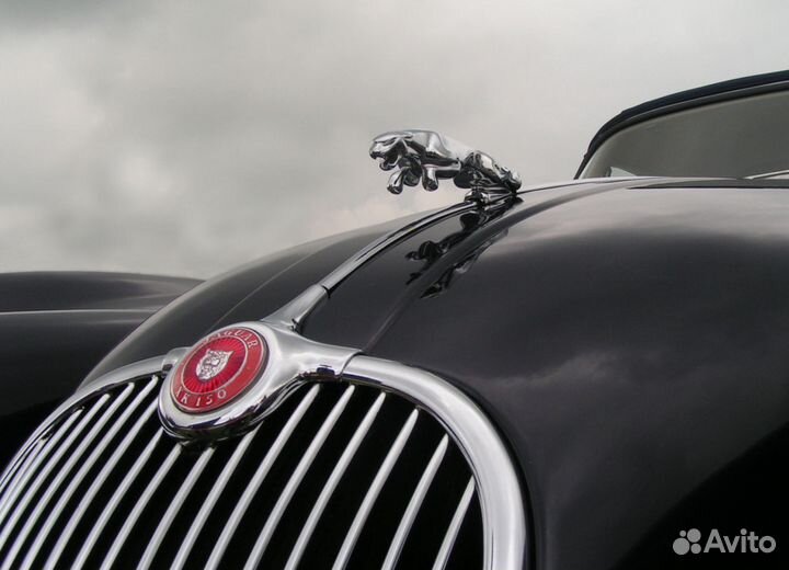 Эмблема Ягуар Jaguar на капот
