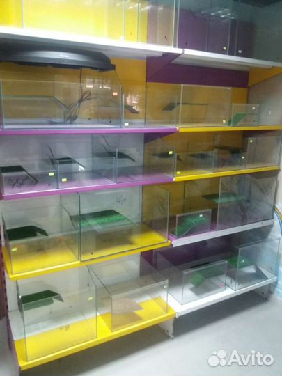 Аквариум для черепах