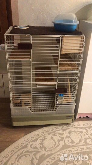 Шиншилла с клеткой и всем ннобходииым