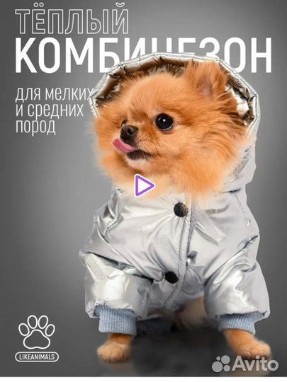 Комбинезон утепленный для мелких собак