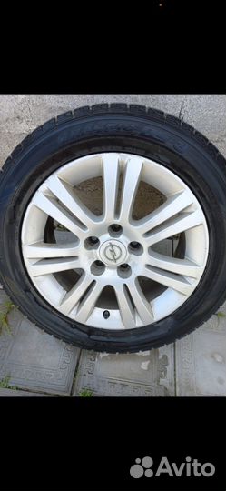 Dunlop Graspic DS3 205/55 R16
