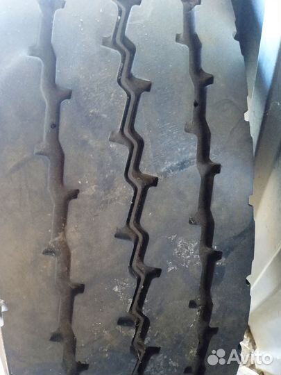 Покрышка шина