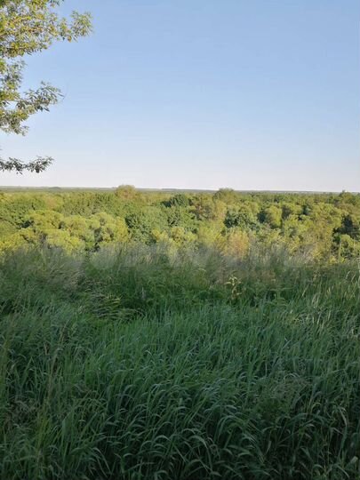 Участок 50 сот. (ИЖС)