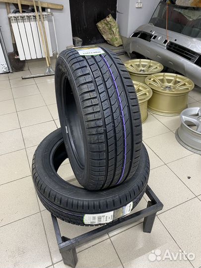 Ikon Tyres Nordman SX3 195/65 R15 91H