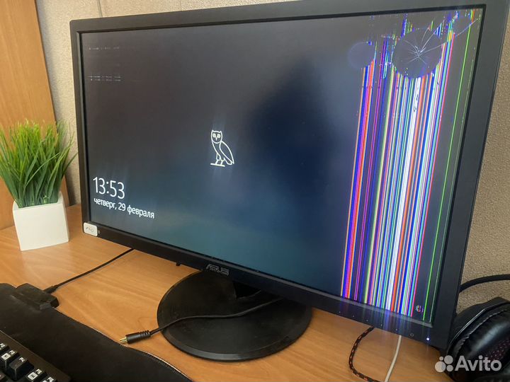 Монитор asus 22