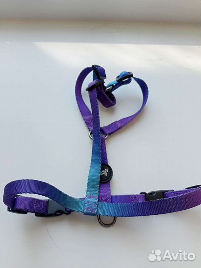 Шлейка, ошейник(2), намордник, комбинезон