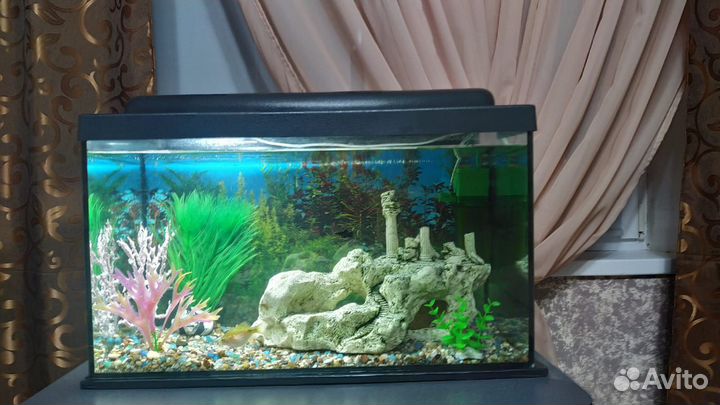 Аквариум с тумбой