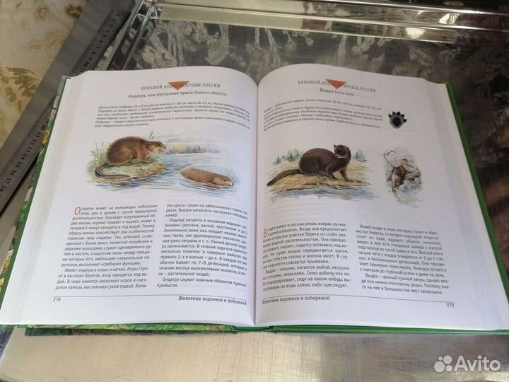 Большой атлас природы России